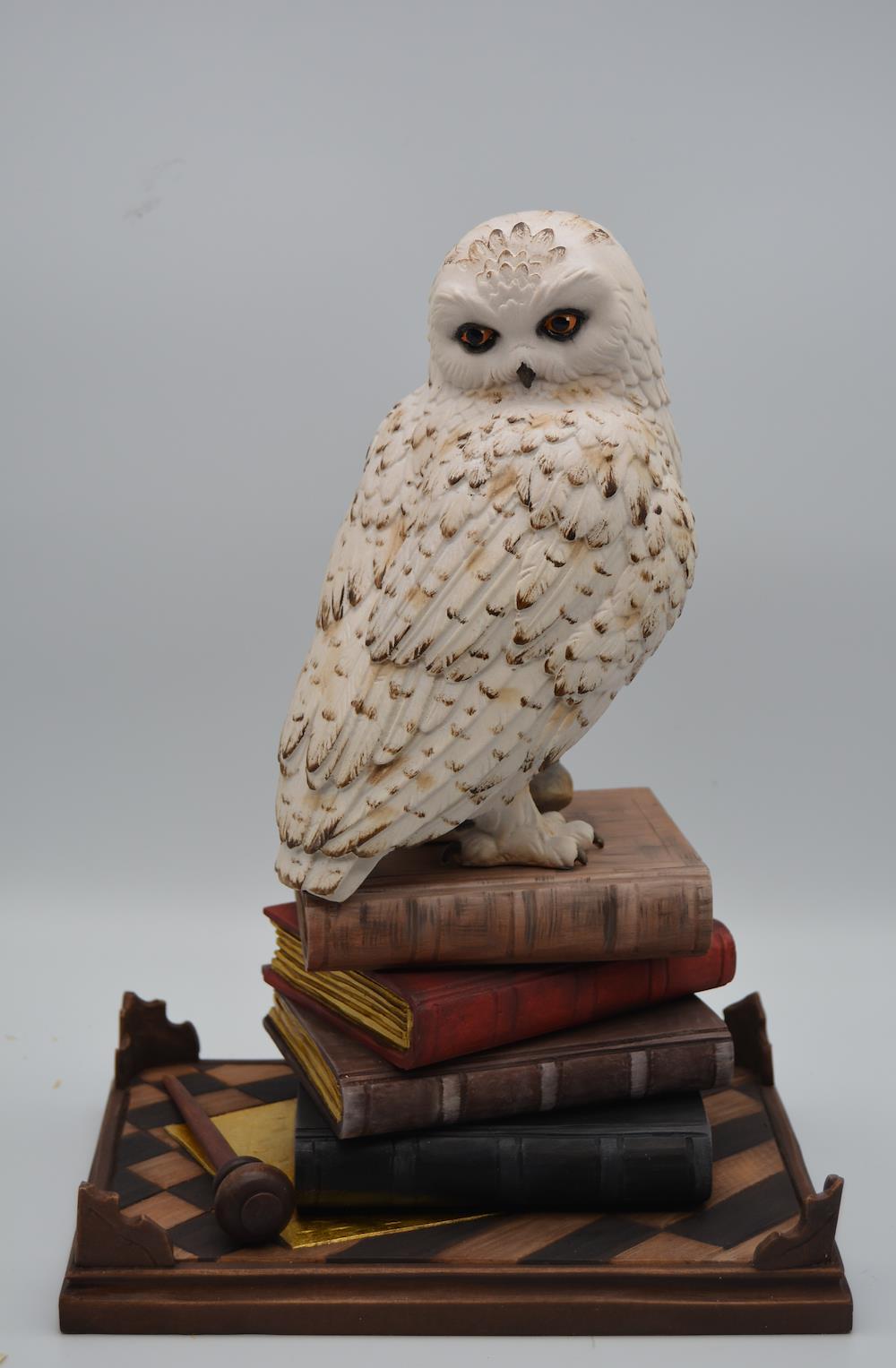 Búho en libros