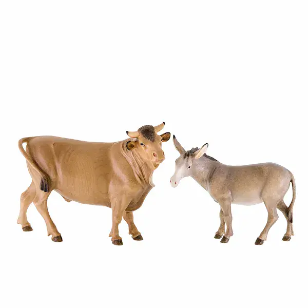 Buoi e asini