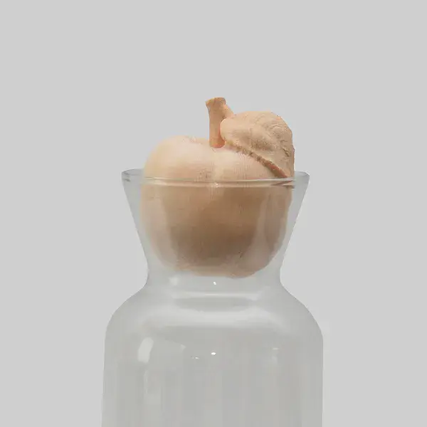 Karaffe mit Apfel