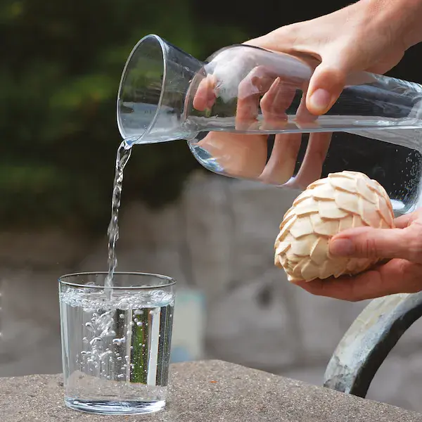 Carafe with Swiss pine cone