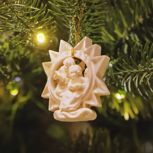 stelle di Natale