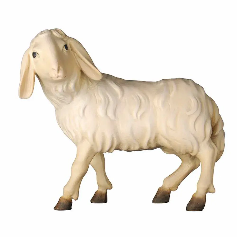 Schaf stehend