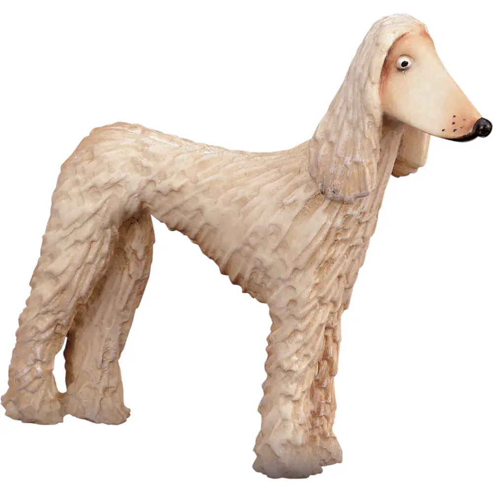 Afghanischer Windhund