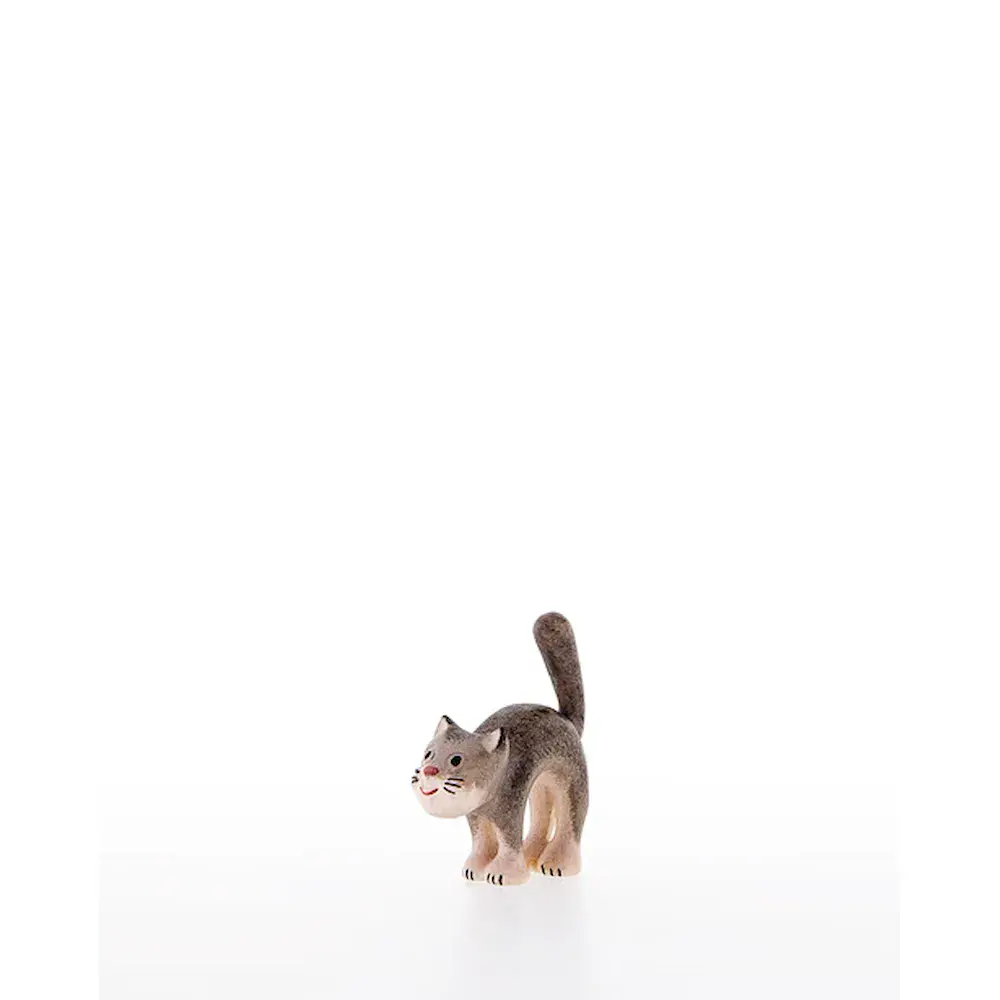 Katze