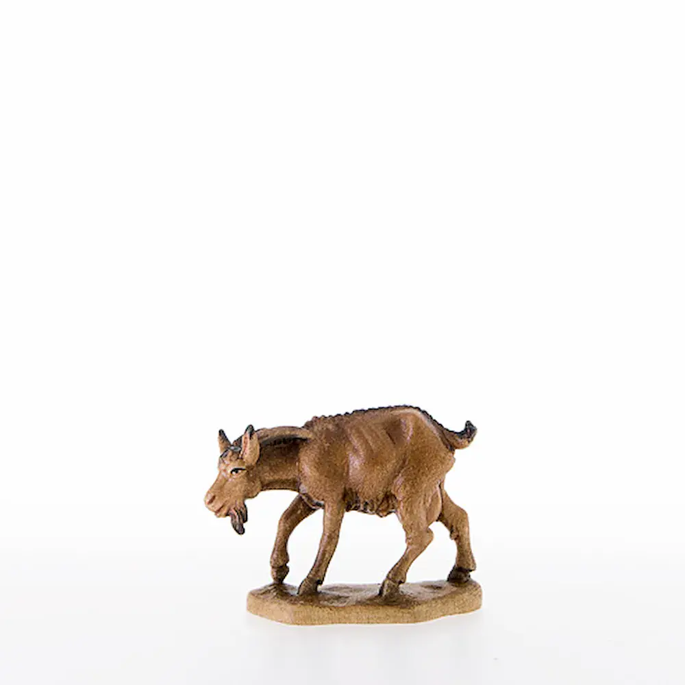 Ziege mit gesenktem Kopf
