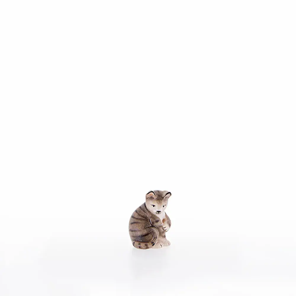 Katze