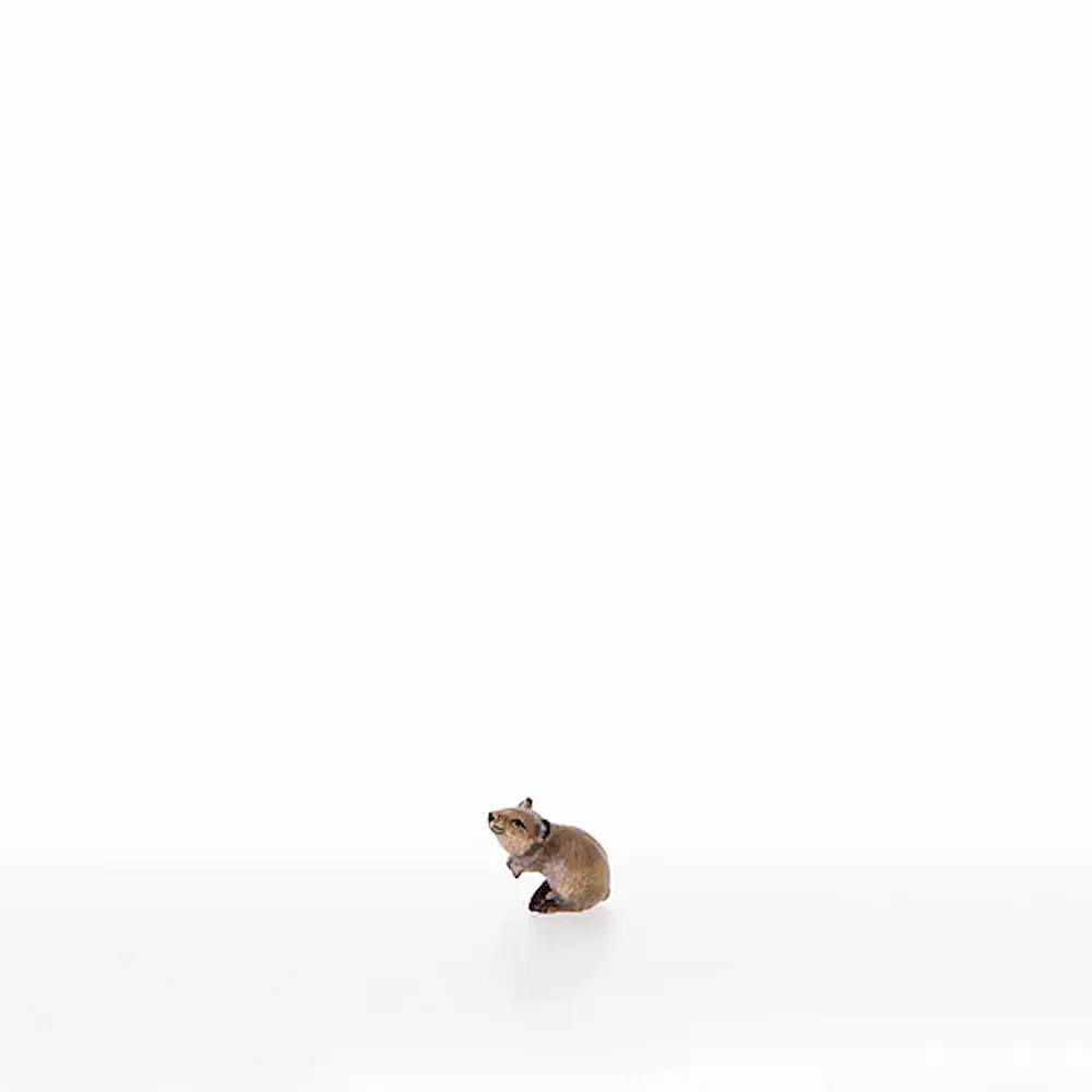 Maus mit Pfoten nach oben
