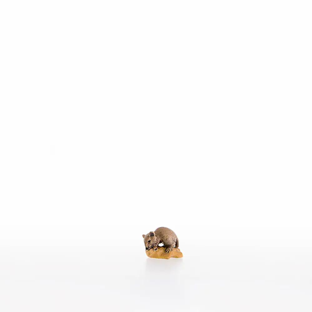 Maus auf dem Kaese