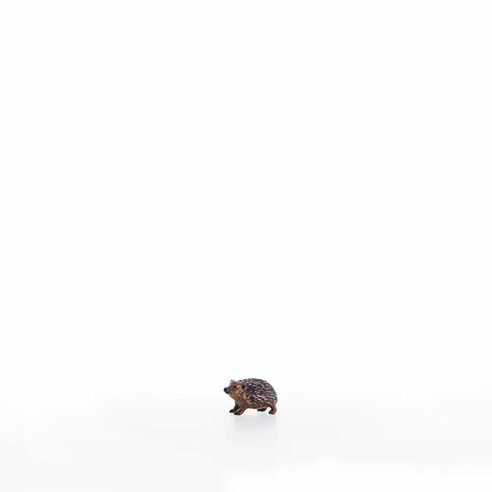 Igel nach oben schauend