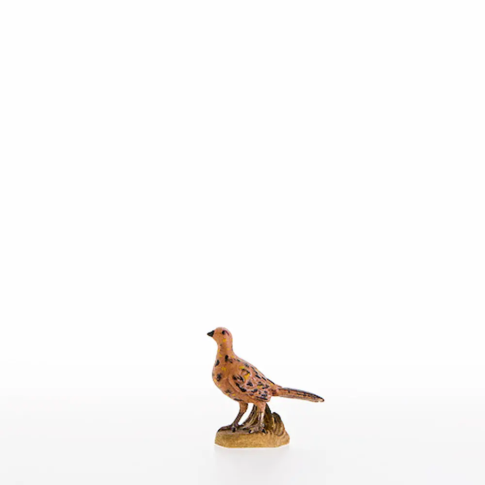 Fasan Henne