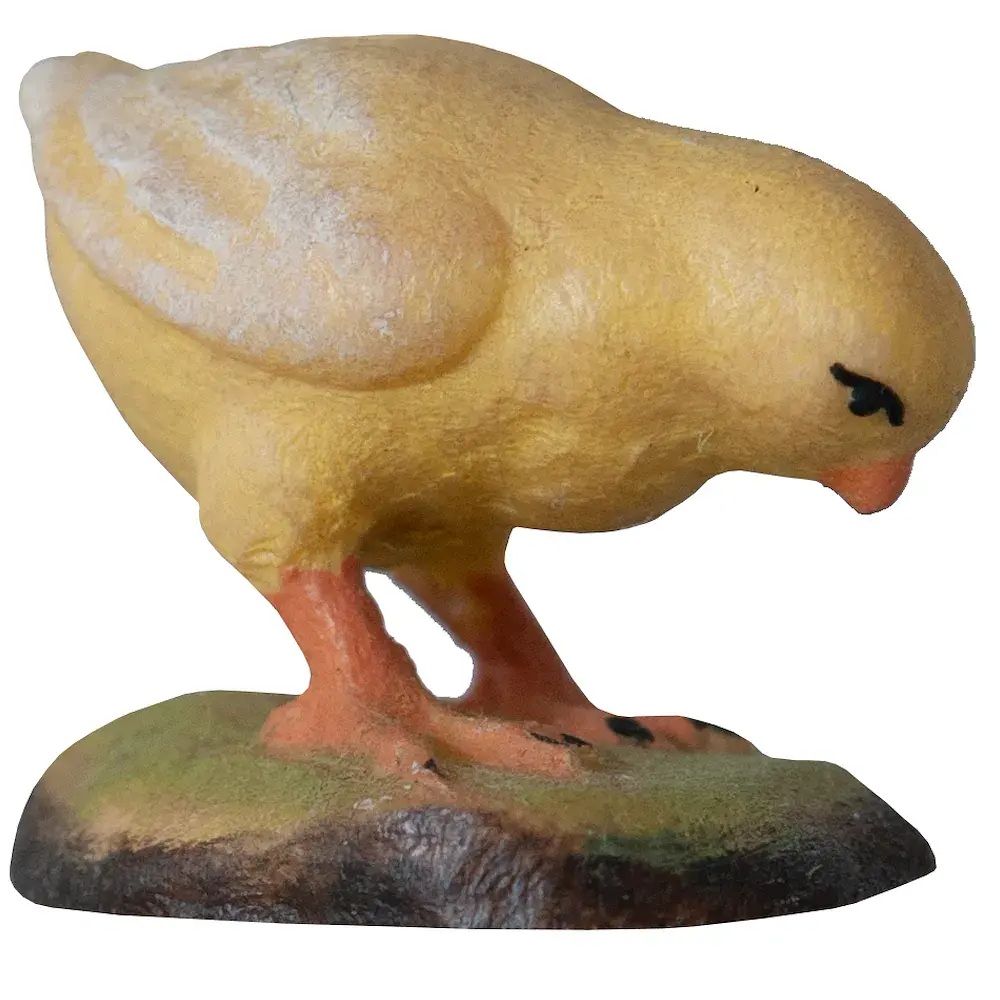 Küken pickend