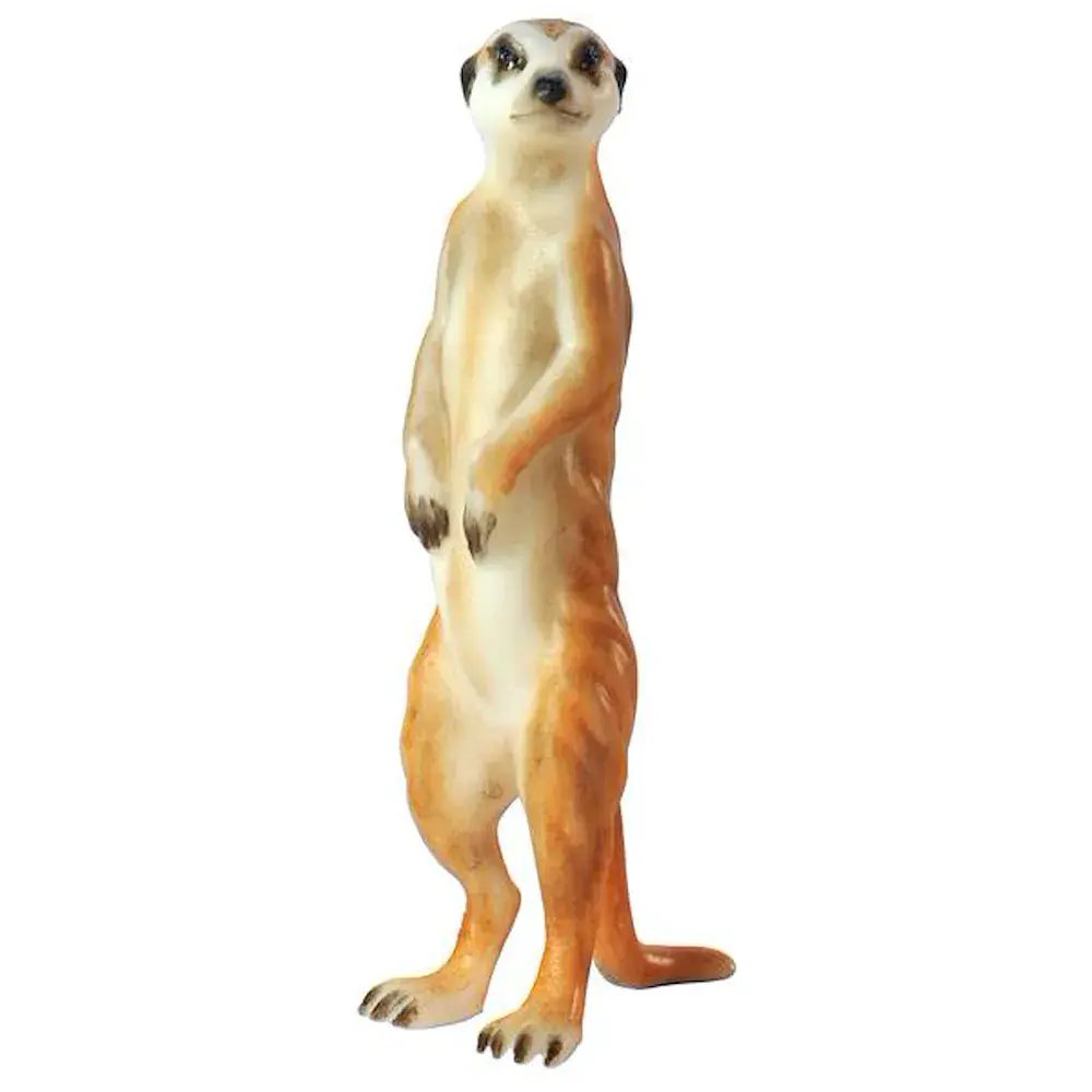 Erdmännchen stehend