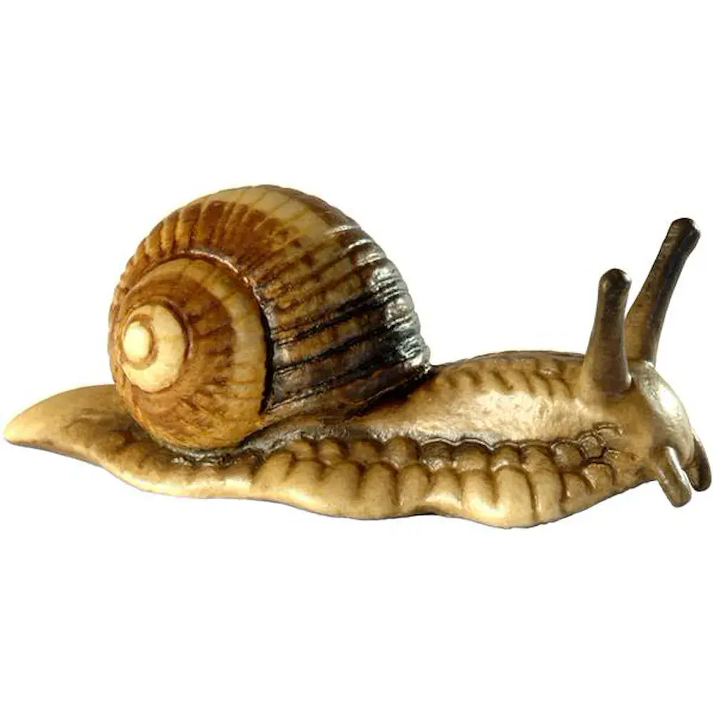 Weinbergschnecke