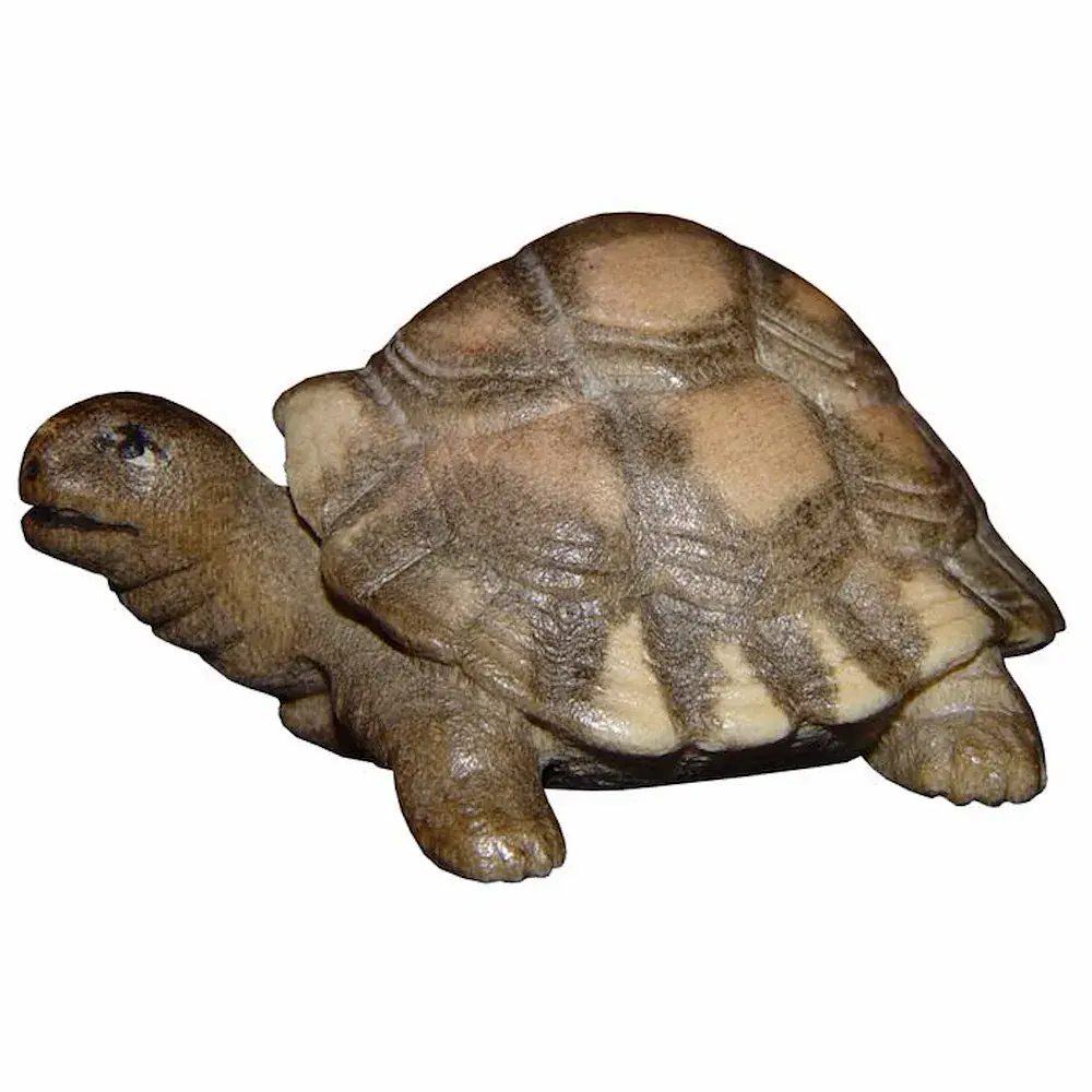Tortuga gigante