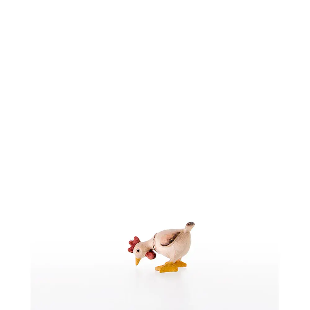 Gallina comiendo
