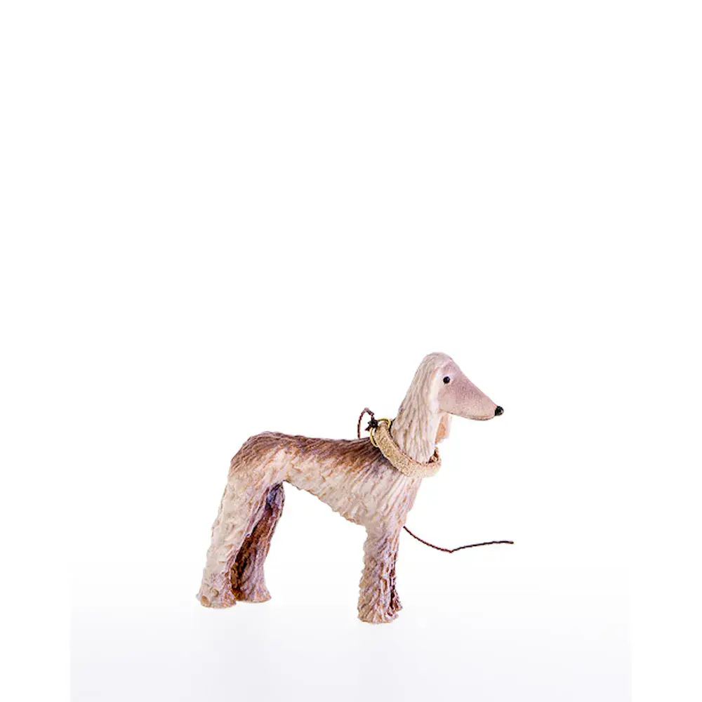 Galgo