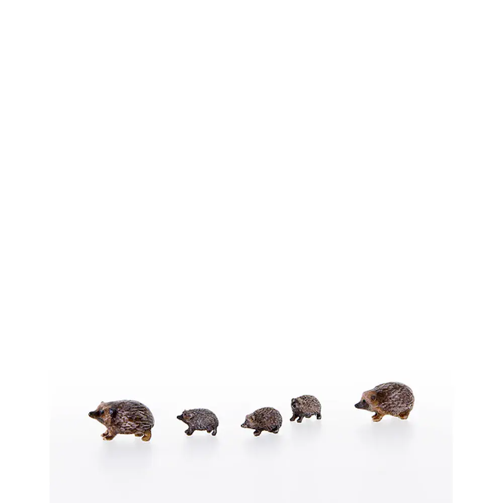 Familia de erizo