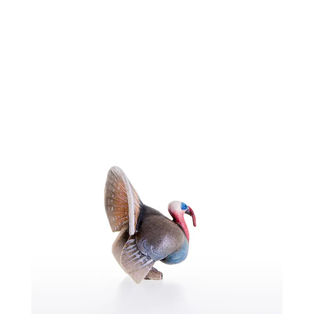 Pavo