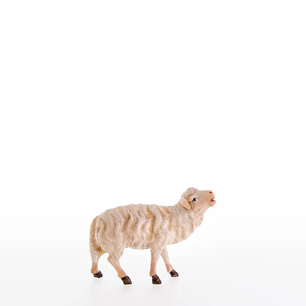 Oveja balante