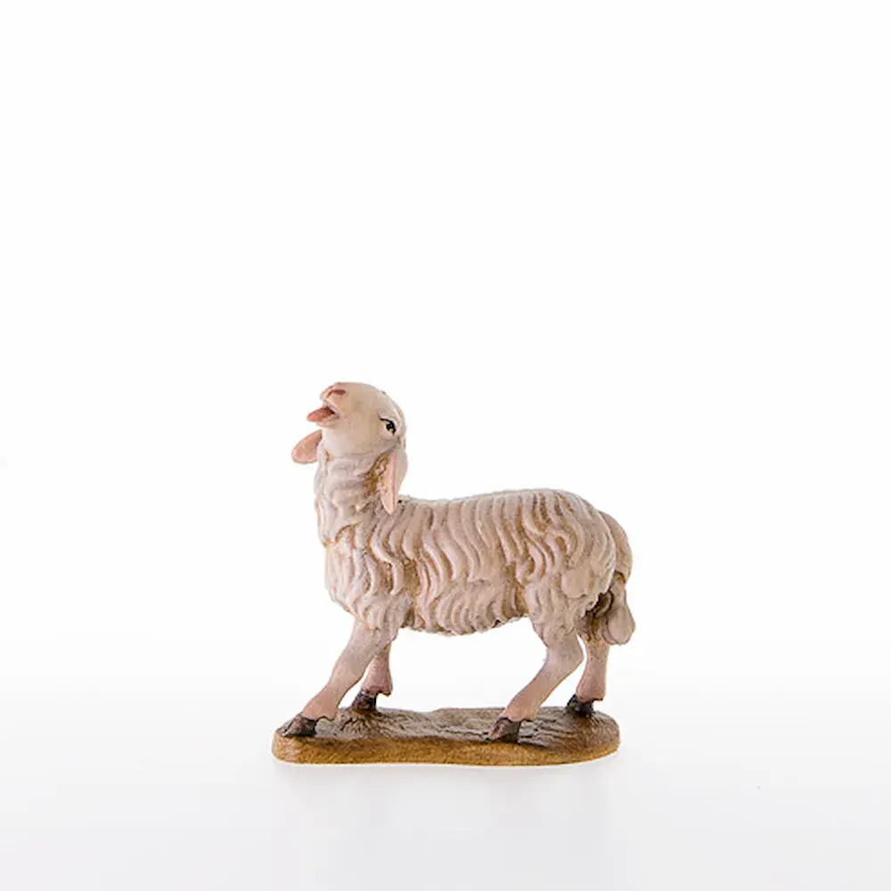 Oveja con la cabeza levantada