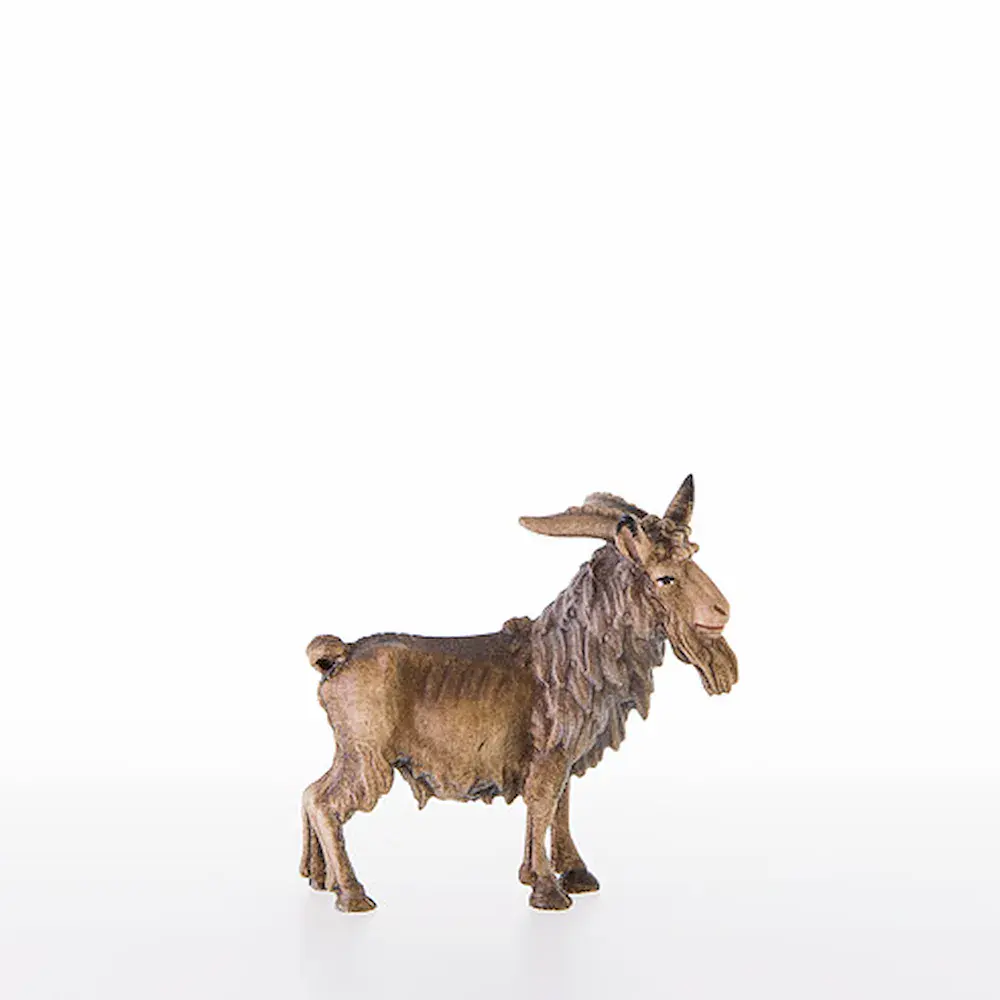 Macho cabrío