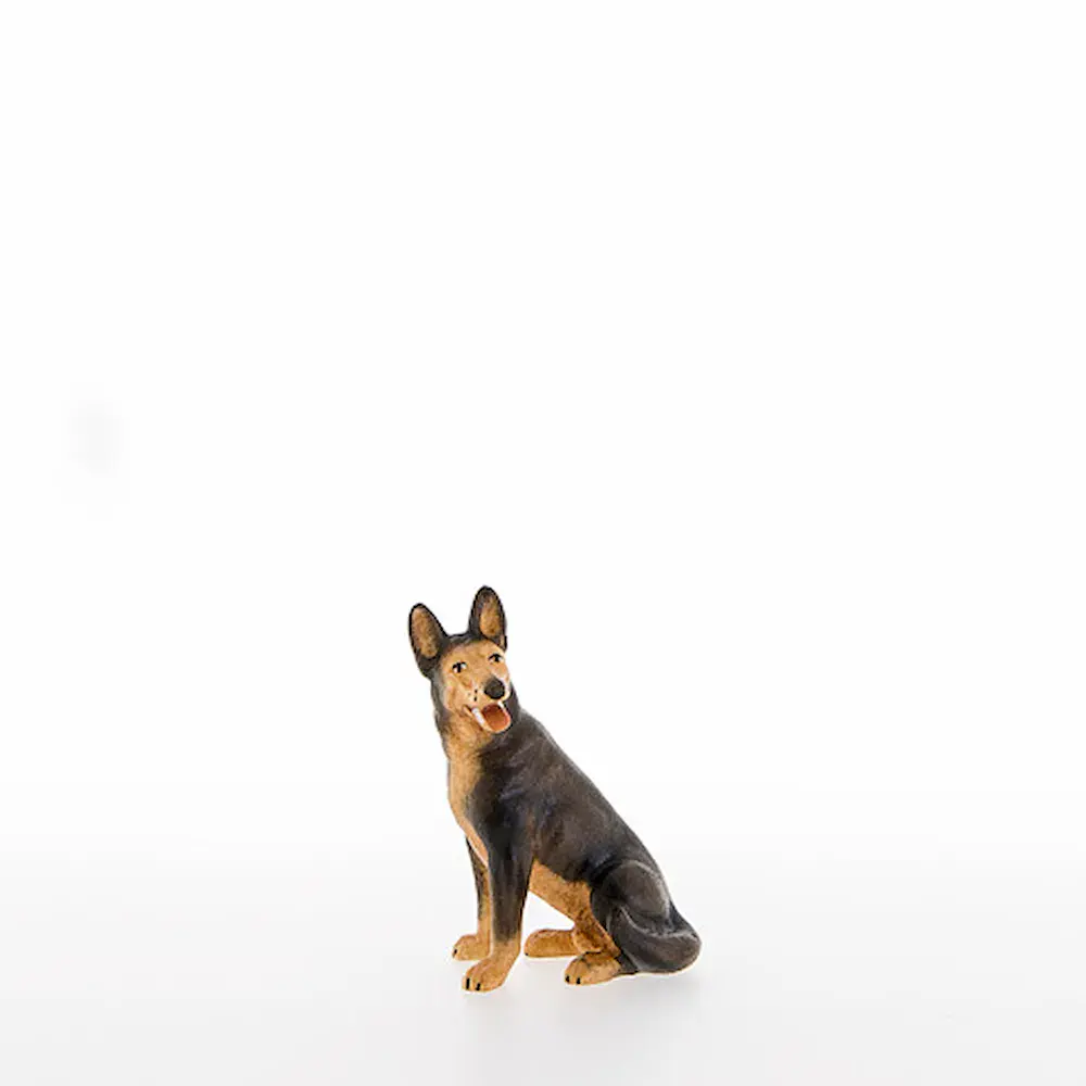 Perro Alemán que se sienta