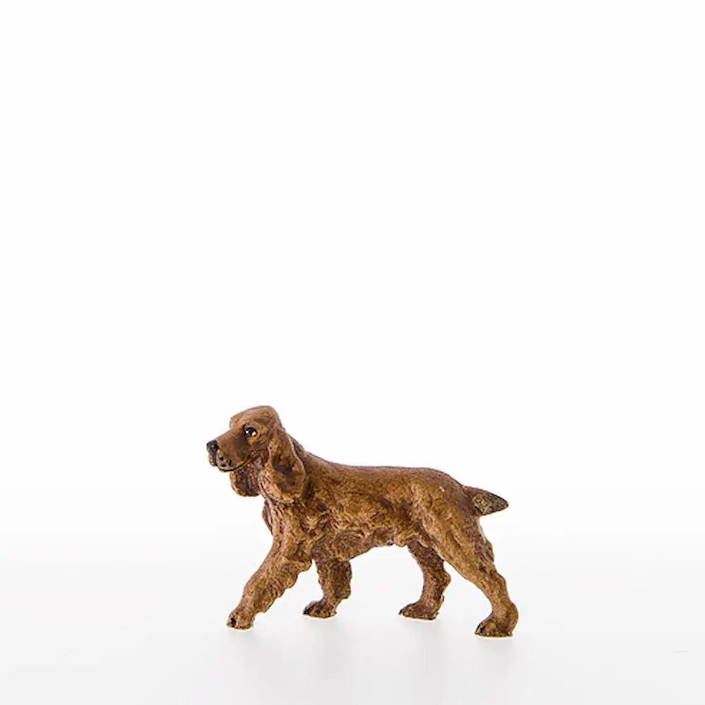 Cocker