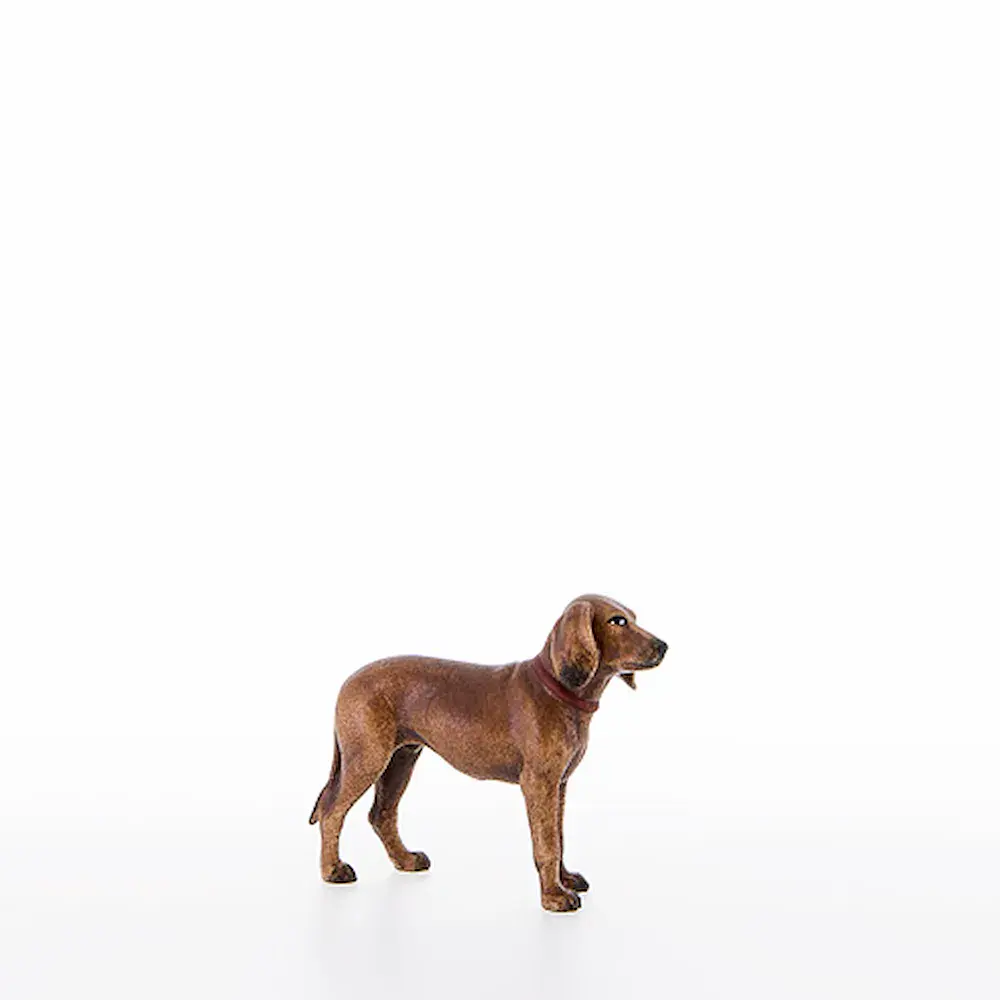 Perro de caza