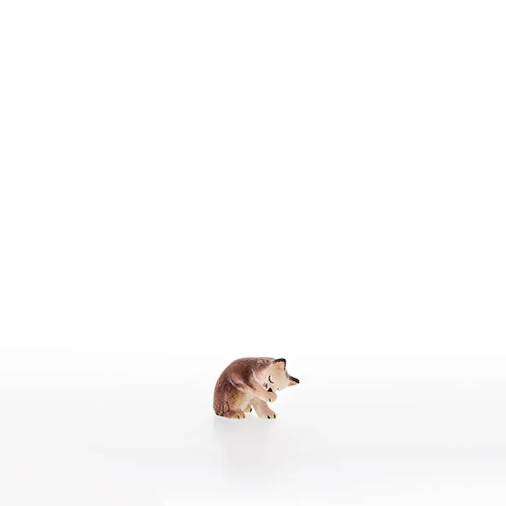 Gatito que se lamen la pata