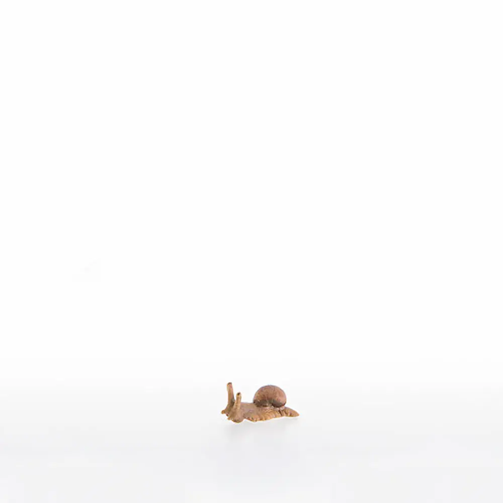 Caracol grande