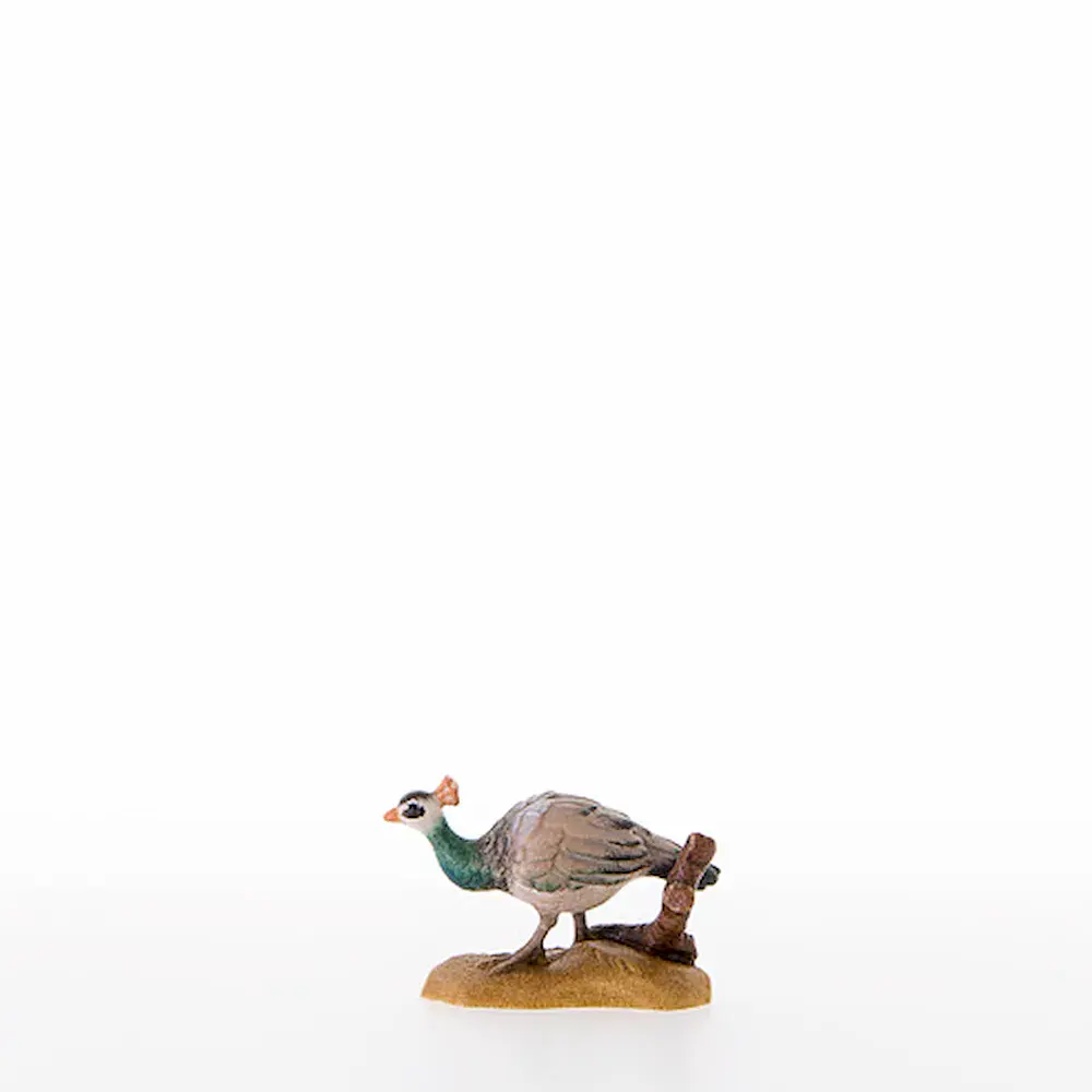 Pava