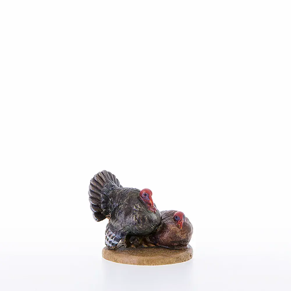 Grupo de pavos