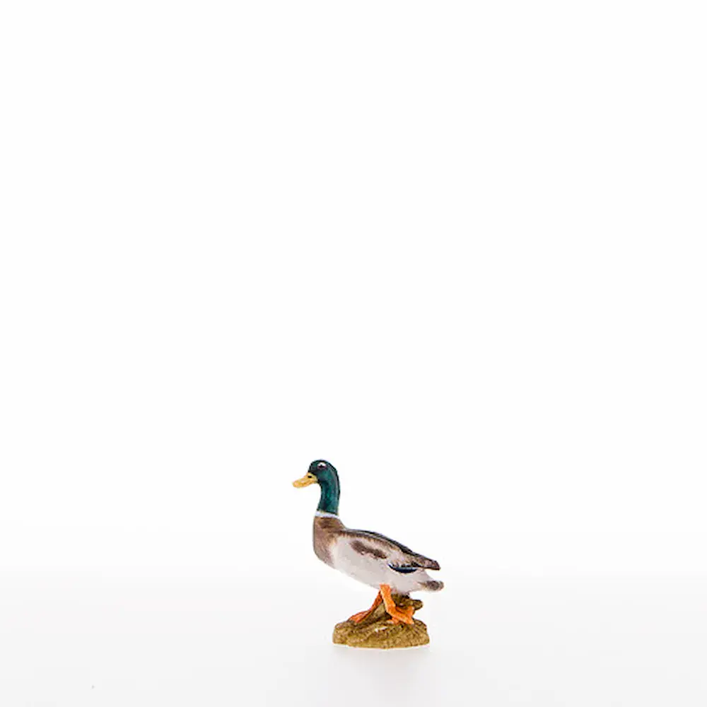 Pato