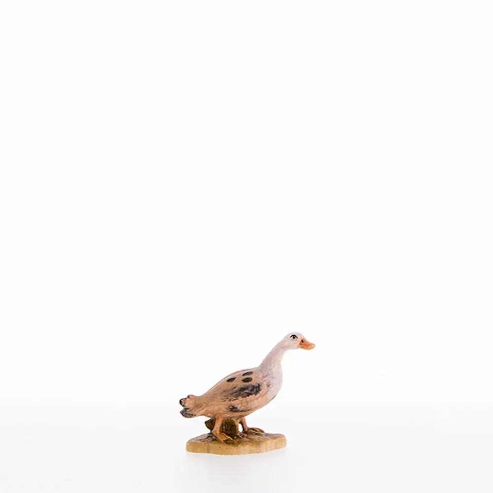 Pato