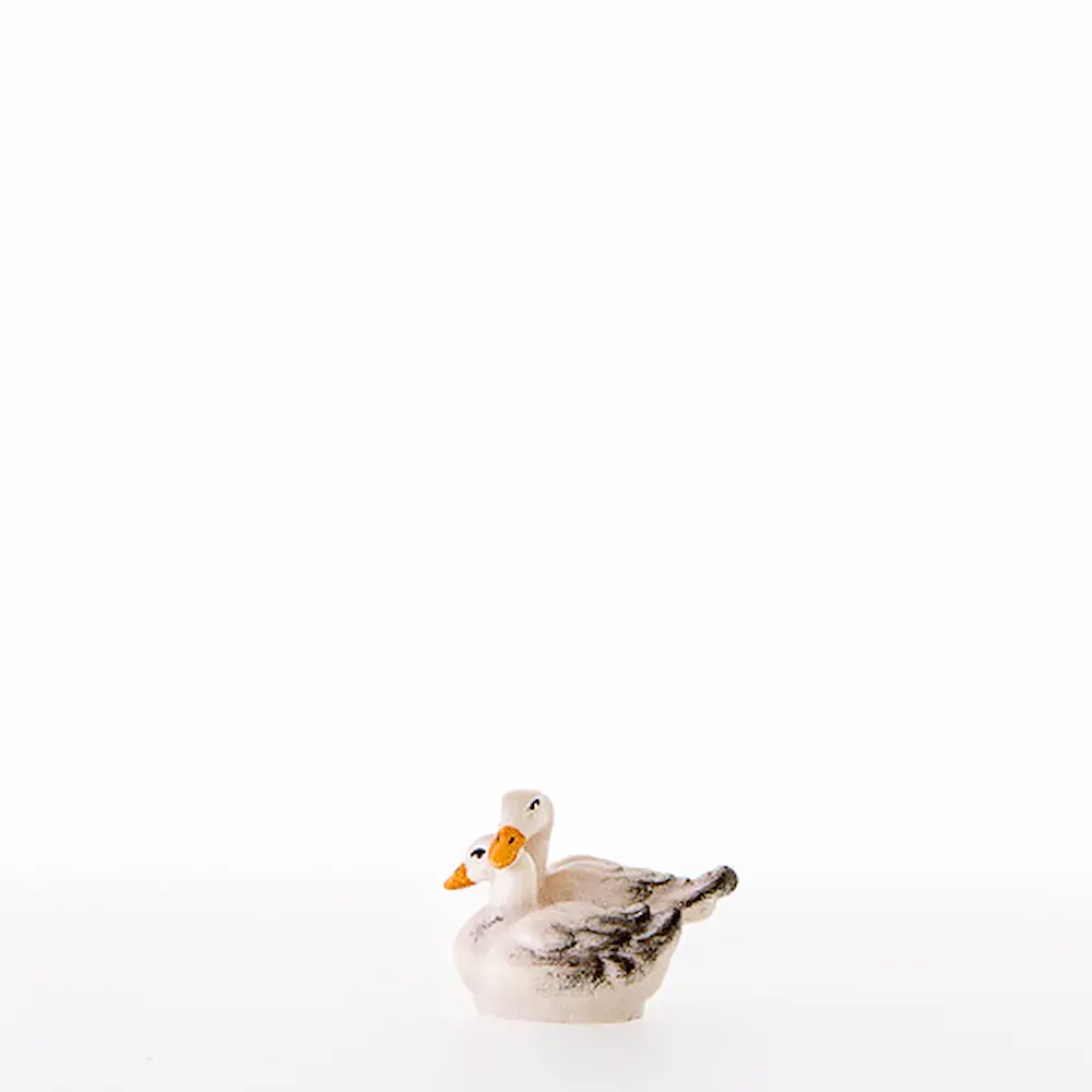 Grupo de patos