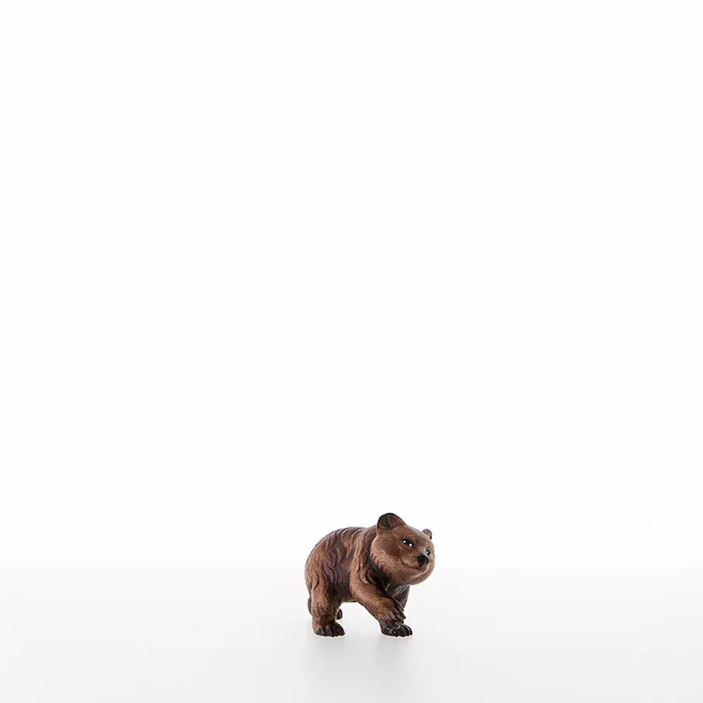 Oso joven
