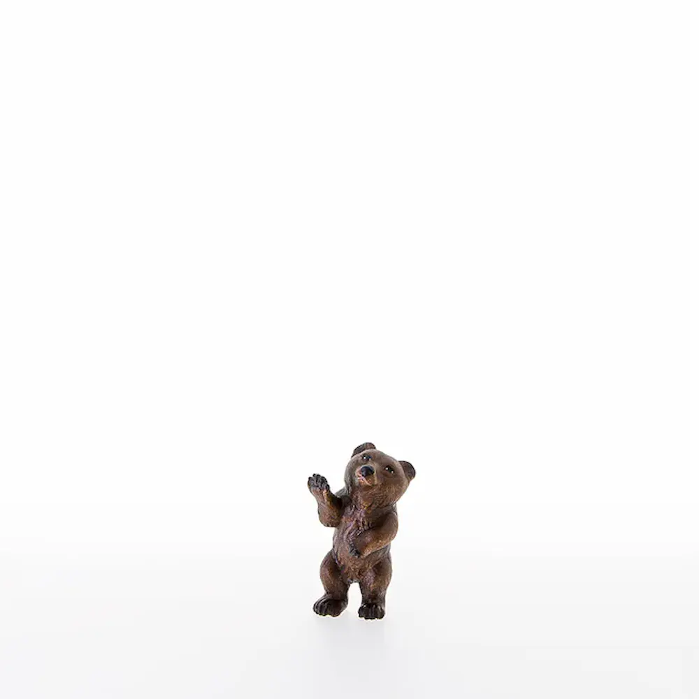 Oso joven que trepa