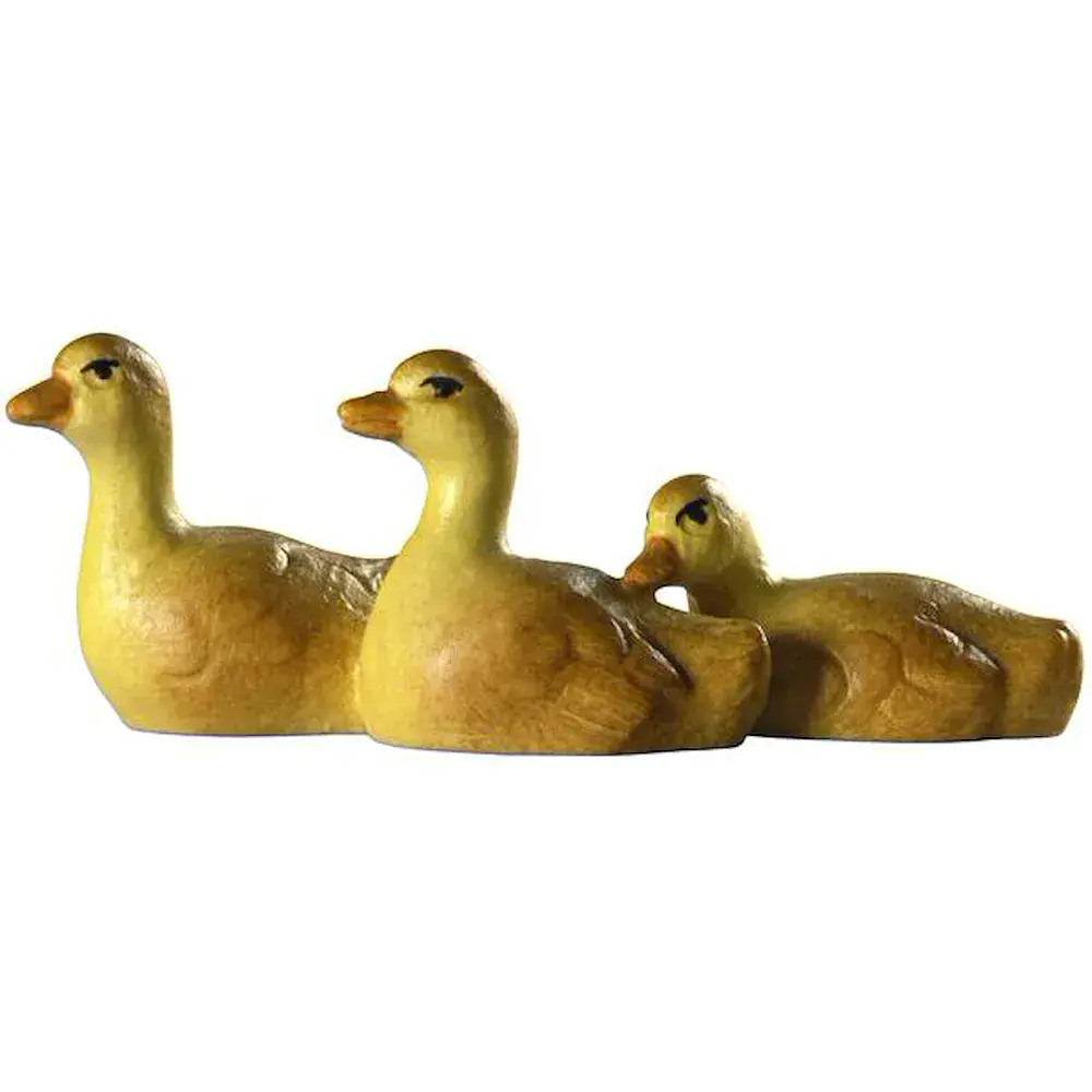 3 Hijos de pato