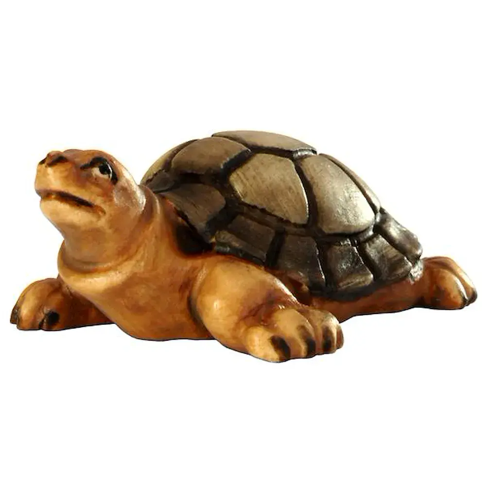 Tortuga