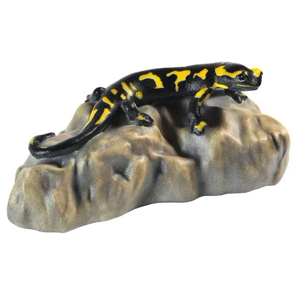 Salamandra en piedra