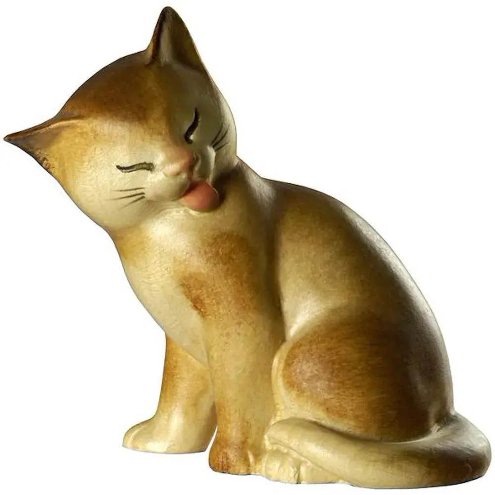 Gato sentado