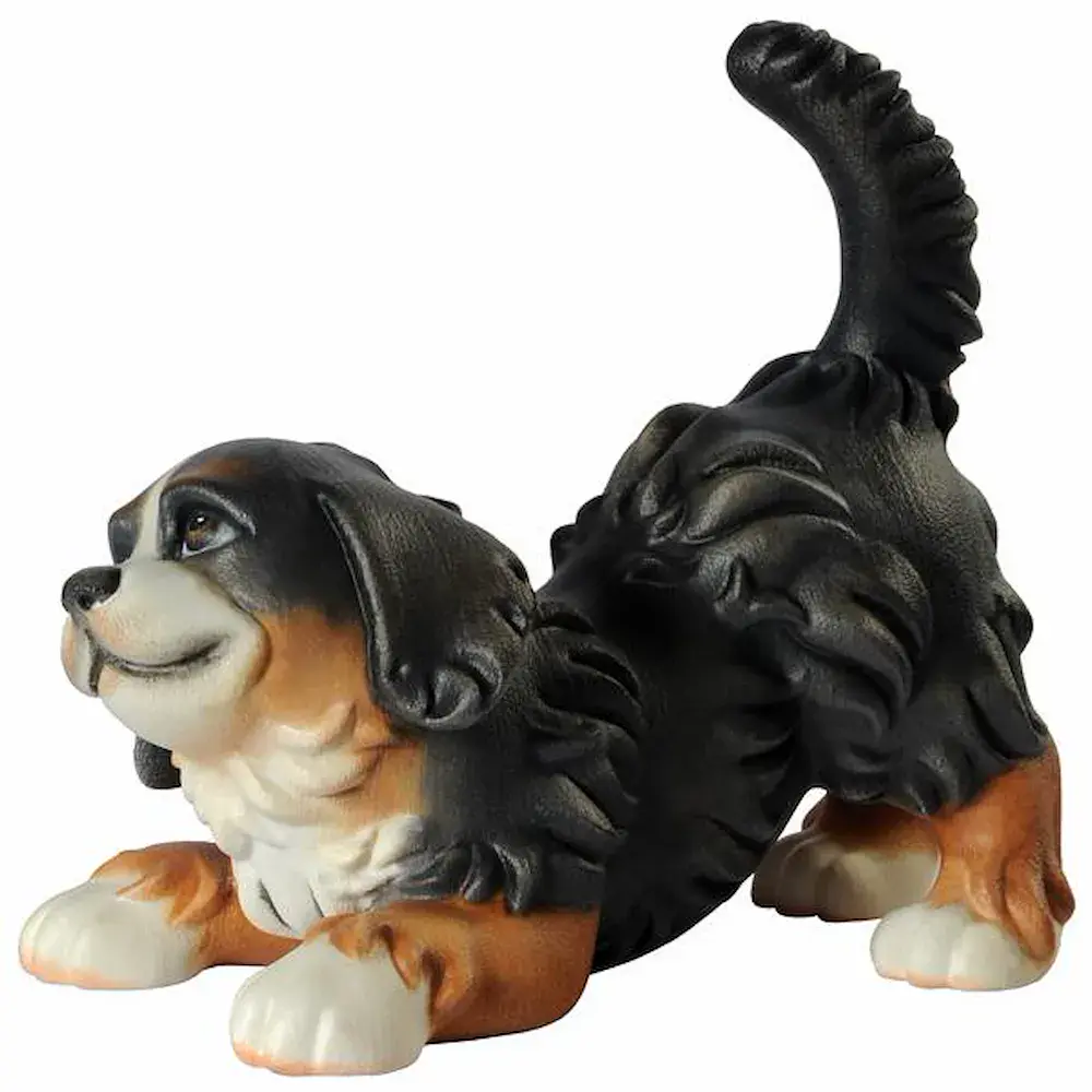 Cachorro de martin bernes