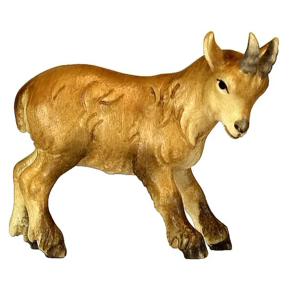Niño de íbice