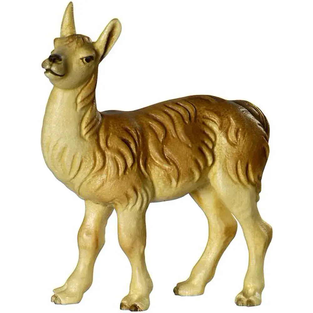 Llama - potro