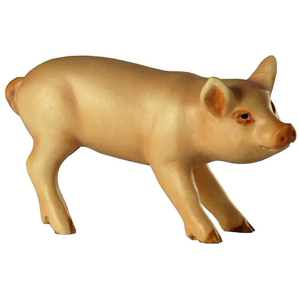 Cochinillo  (cabeza derecha)