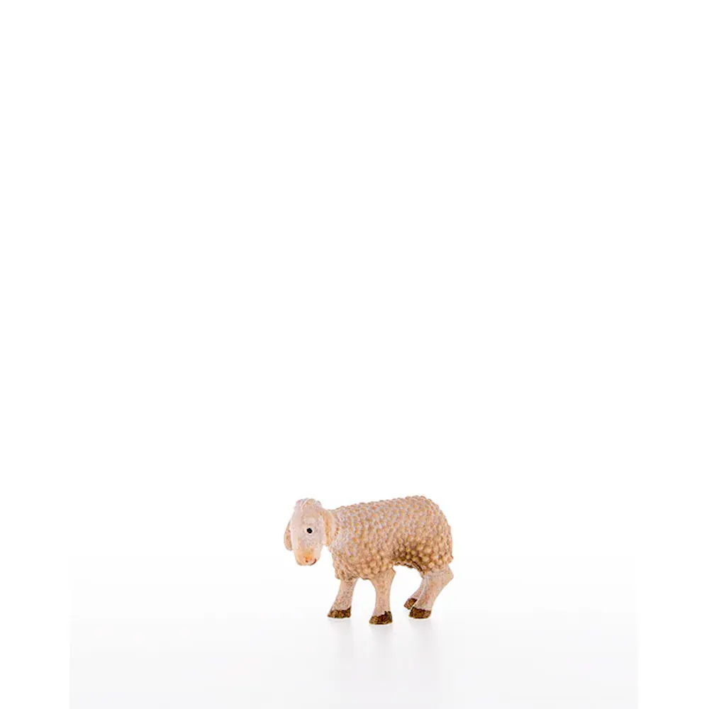 Agnello