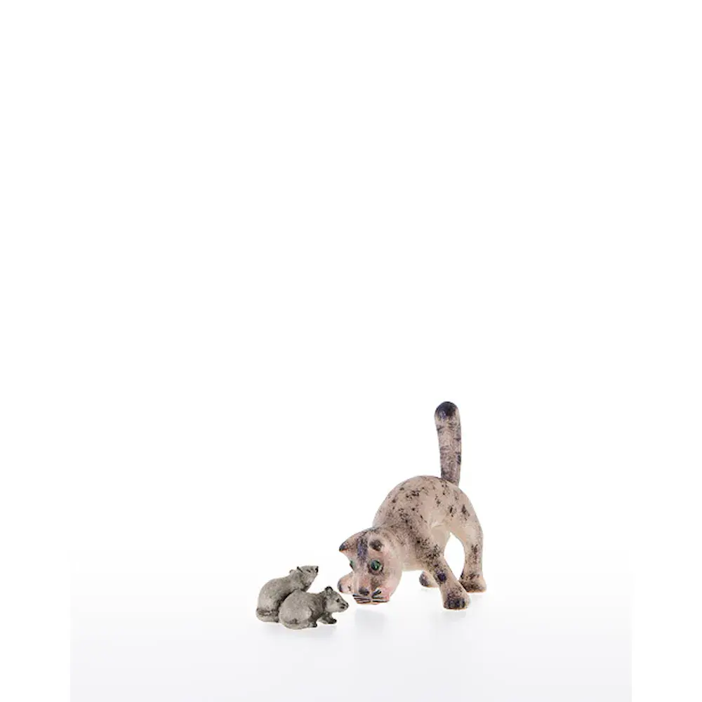 Gatto con zampe anteriori larghe