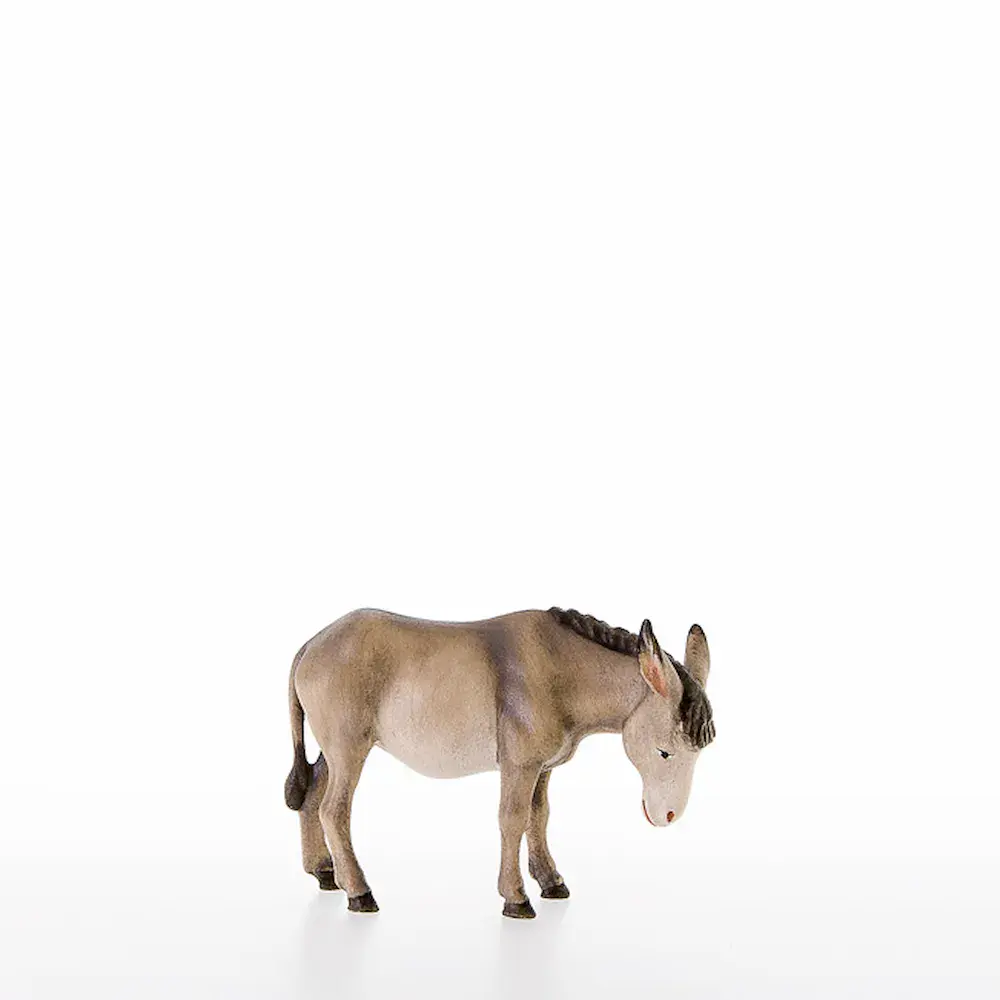 Asino