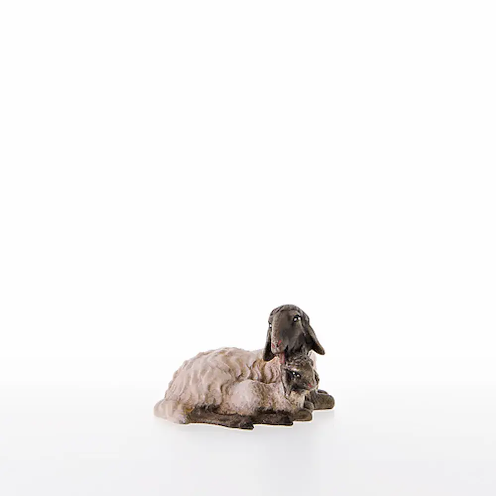 Pecora con testa nera e agnello
