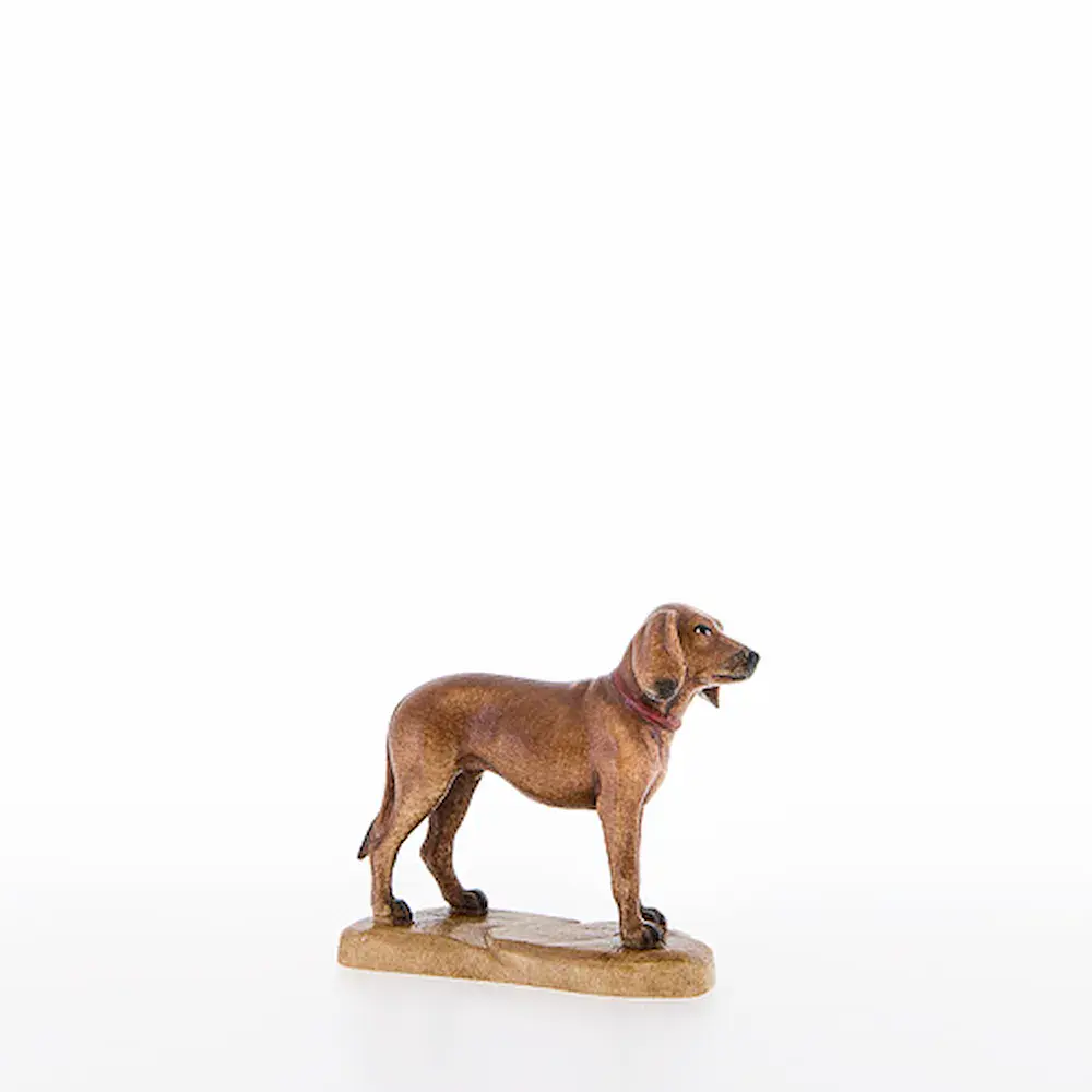 Cane da caccia